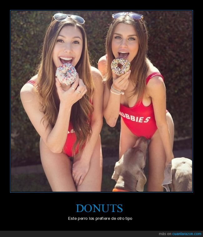chicas,donuts,perro