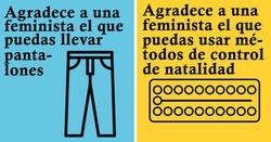Enlace a Posters que muestran aquello por lo que las mujeres deberían “agradecer a una feminista”
