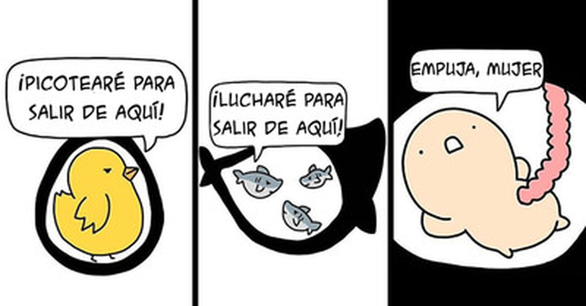 Comic De On Twitter Interview Humor Ist Eine Sehr Gute Waffe