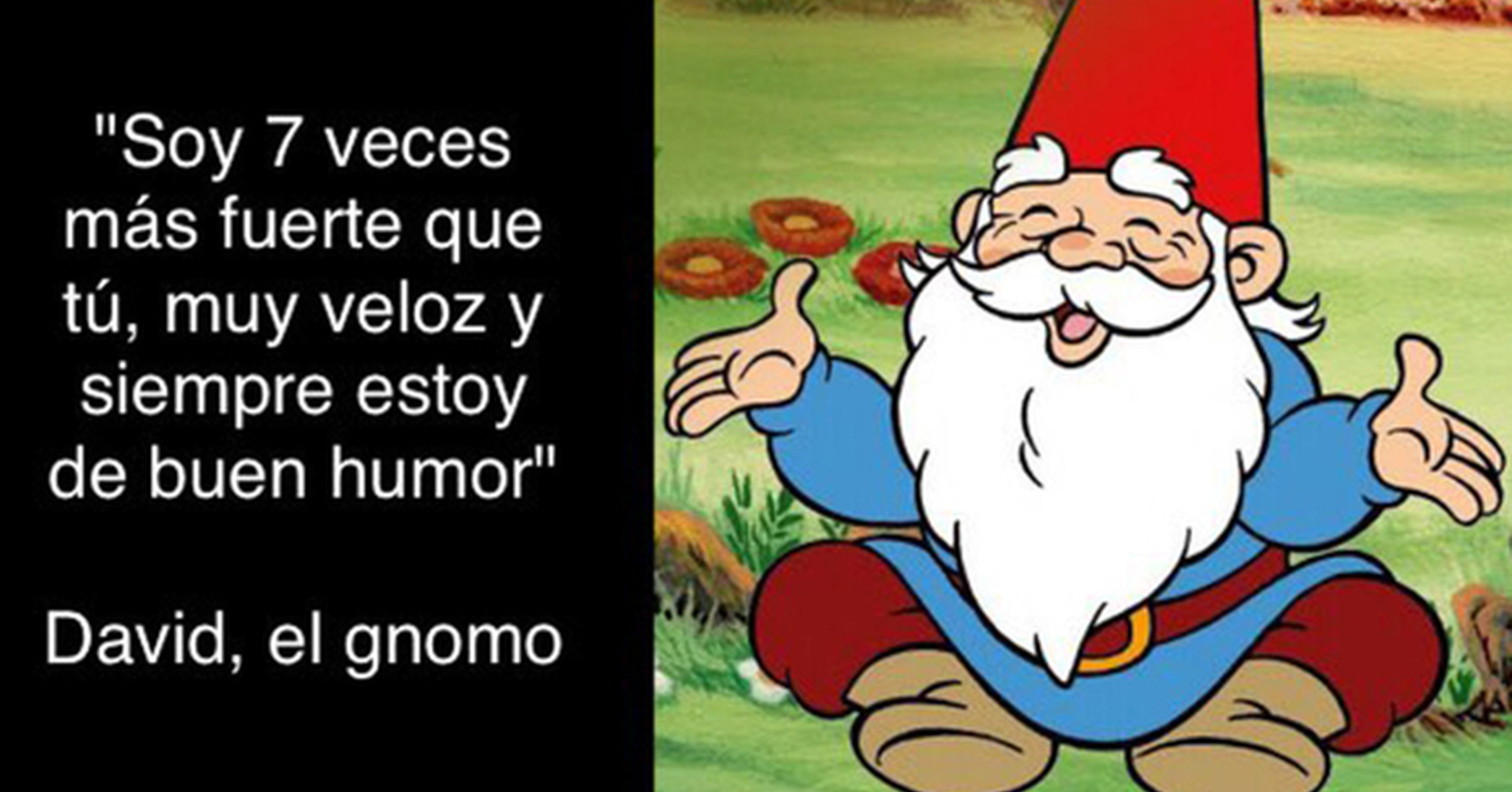 Juego gnomos