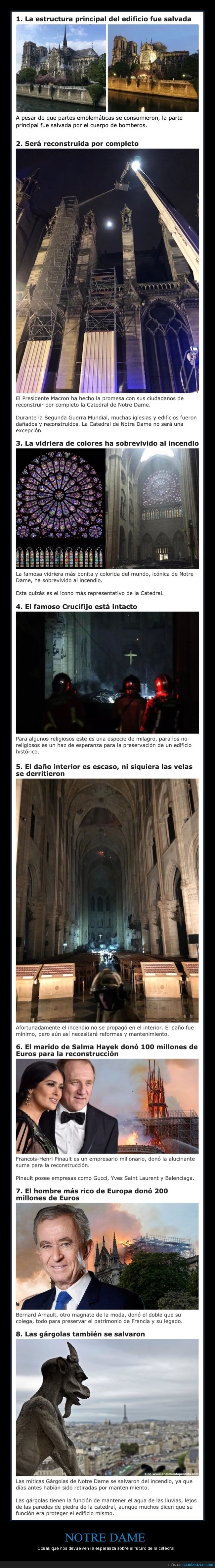 notre dame,incendio,restauración