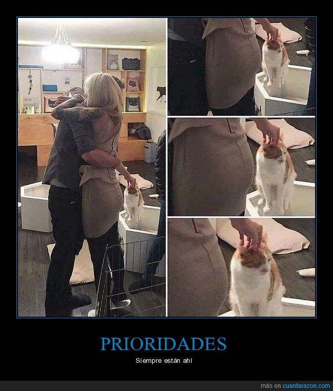 abrazo,amor,gato,cariño