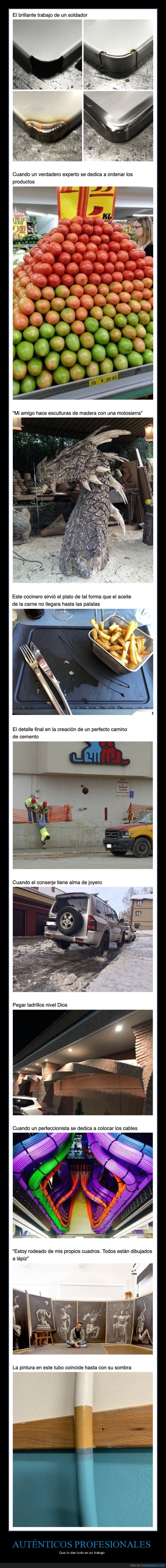 profesionales,trabajo,wtf