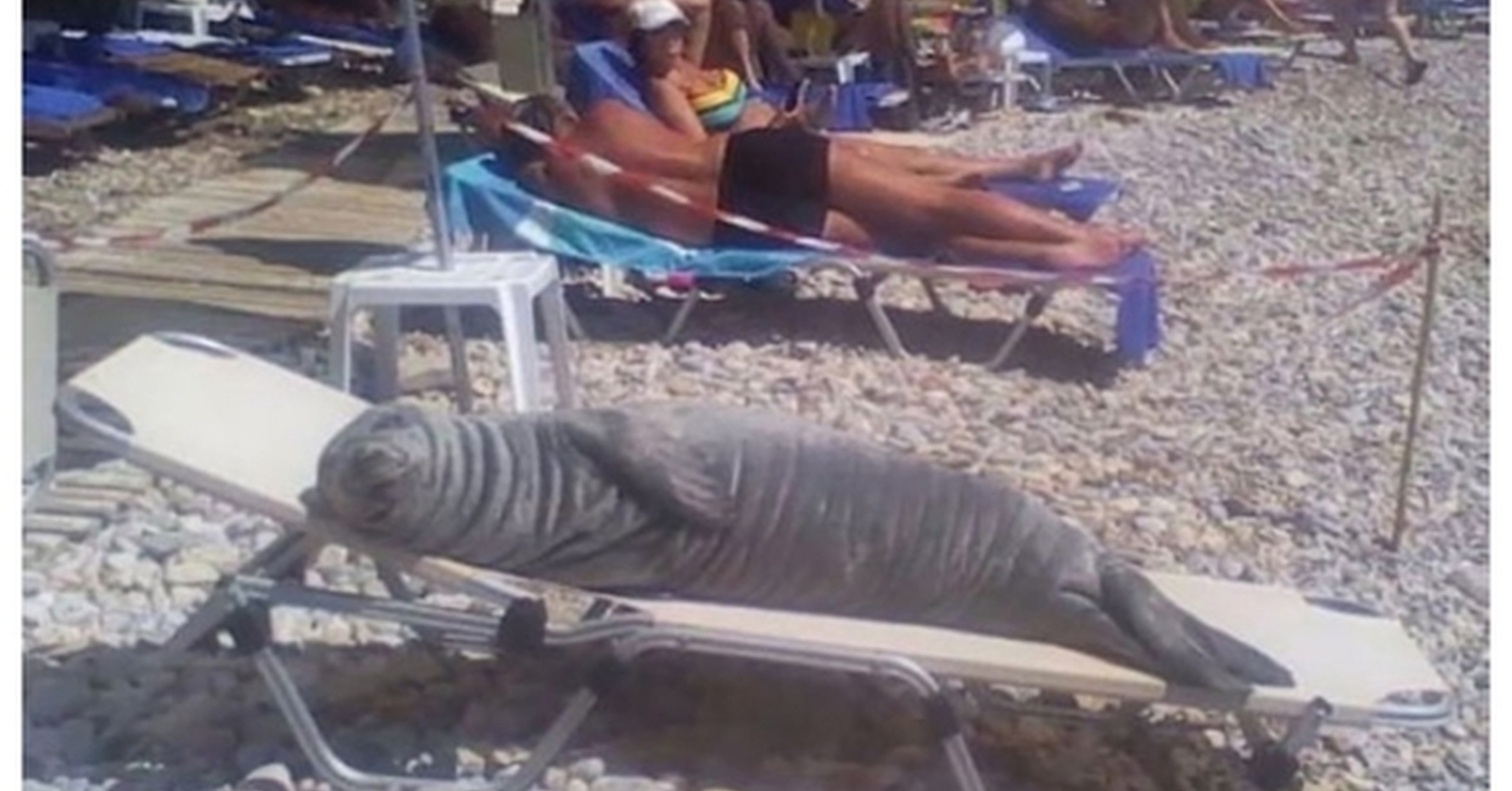 Get Wallpaper Cosas Interesantes En La Playa Que La Gente Tuvo Que Compartir For iPhone