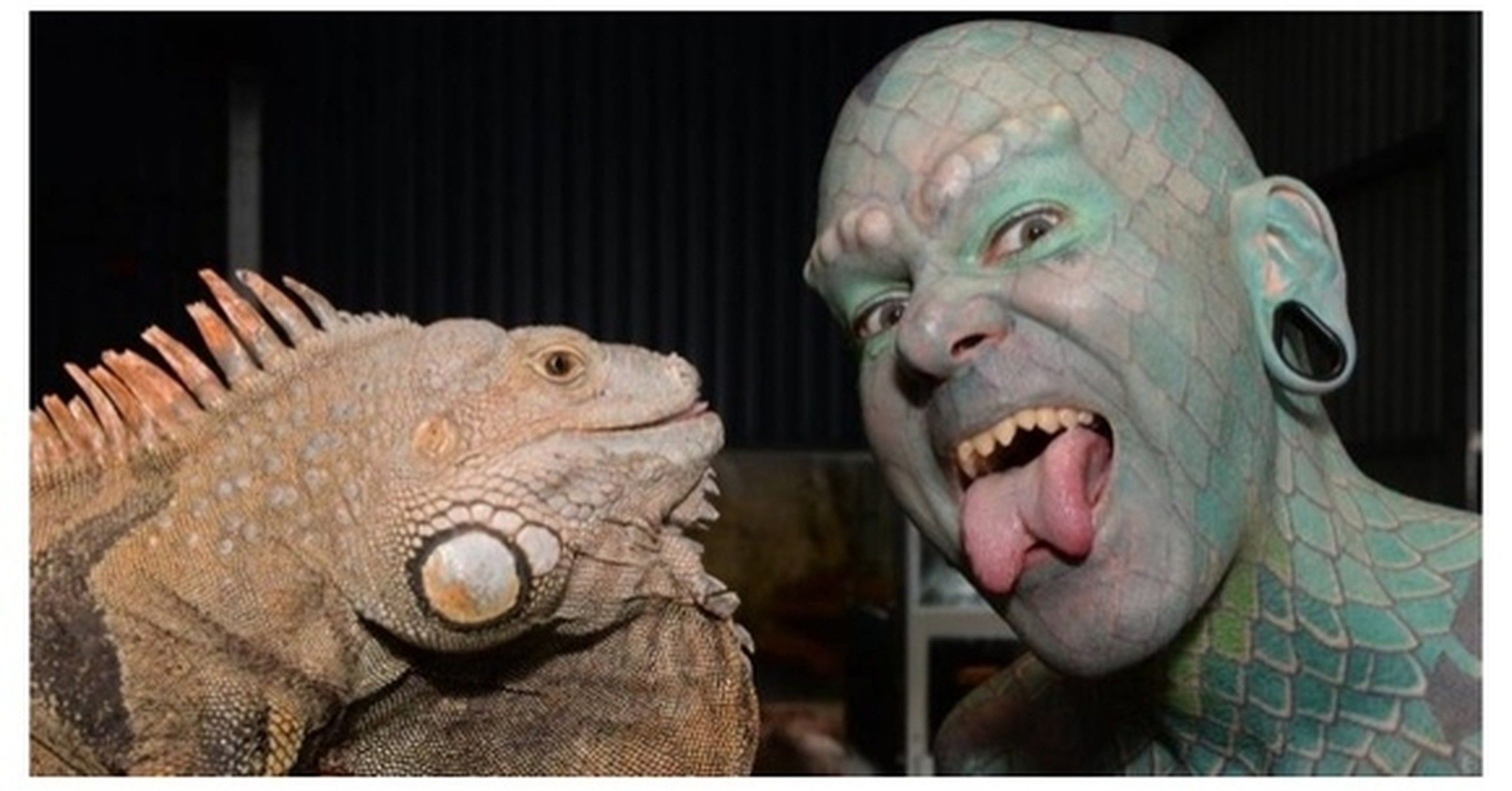 Человек превращается в кошку. Humans into animals. Человек примат. О зверях и людях. Humans into animals.