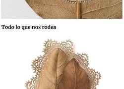 Enlace a Esta tejedora usa sus habilidades para convertir hojas secas en obras de arte 