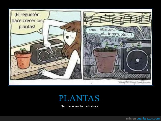 reggeaton,crecer,plantas,alcanzar,interruptor