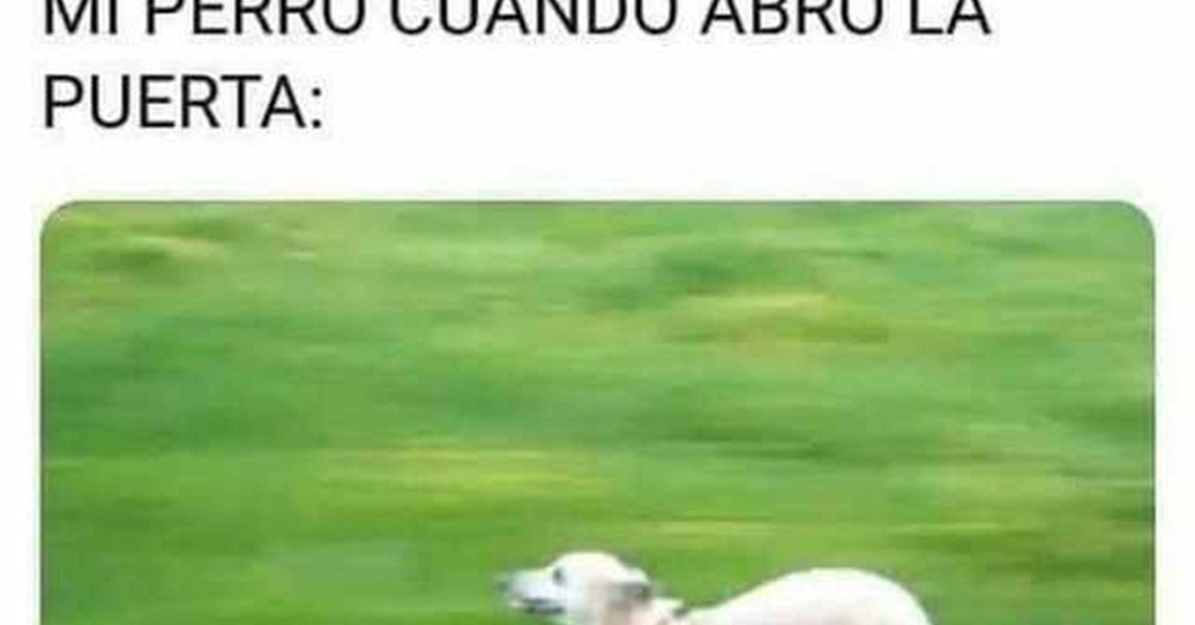 ¡Cuánta razón! / La madre que lo parió...