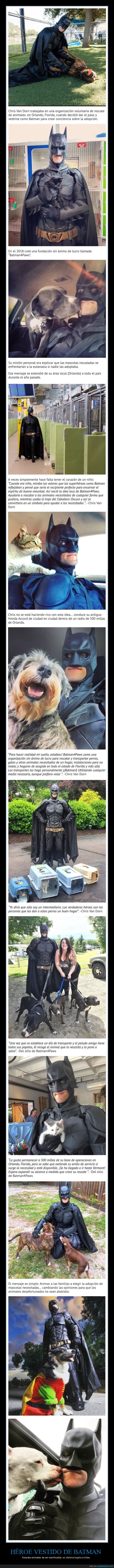 héroe,batman,animales,eutanasia