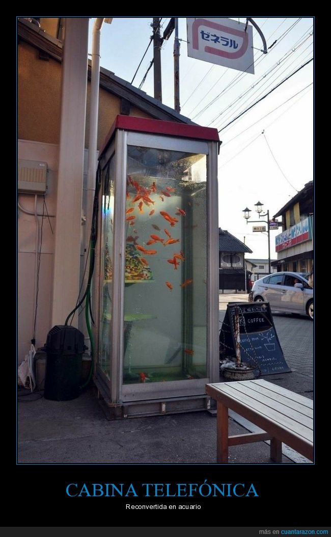 cabina telefónica,peces,wtf