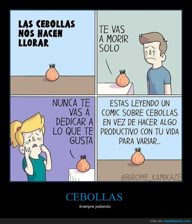 ¡Cuánta Razón! / Malditas Cebollas...