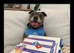 Enlace a Cuando engañas a tu perro dándole una pizza para comer, pero en realidad dentro no hay una pizza...