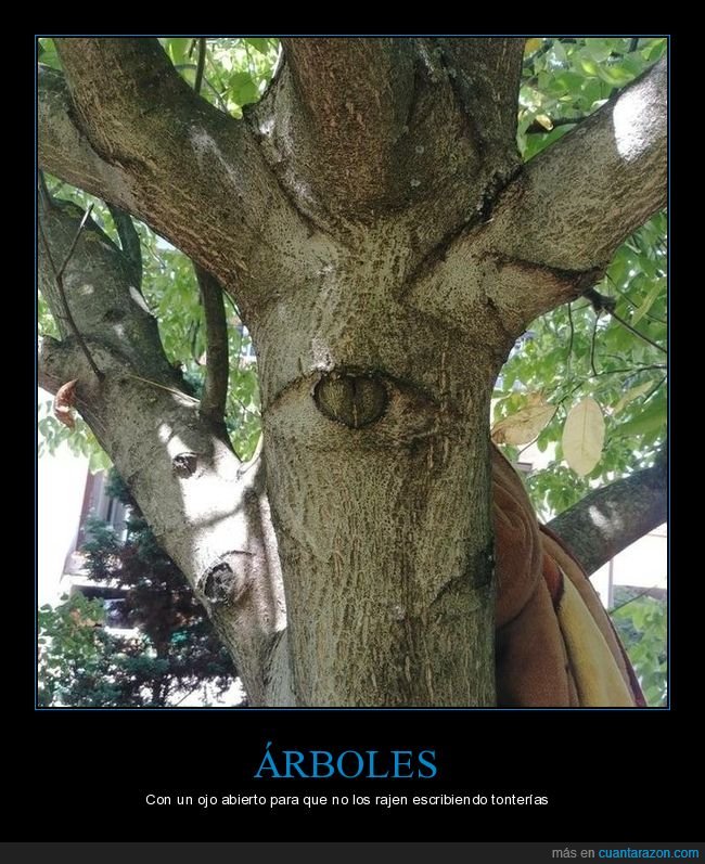 árbol,ojo,tronco