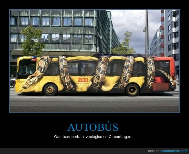 autobús,zoo,copenhague