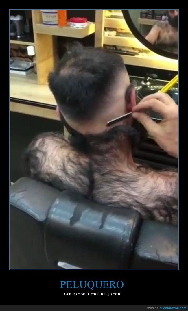 peluquero,cortando el pelo,peludo