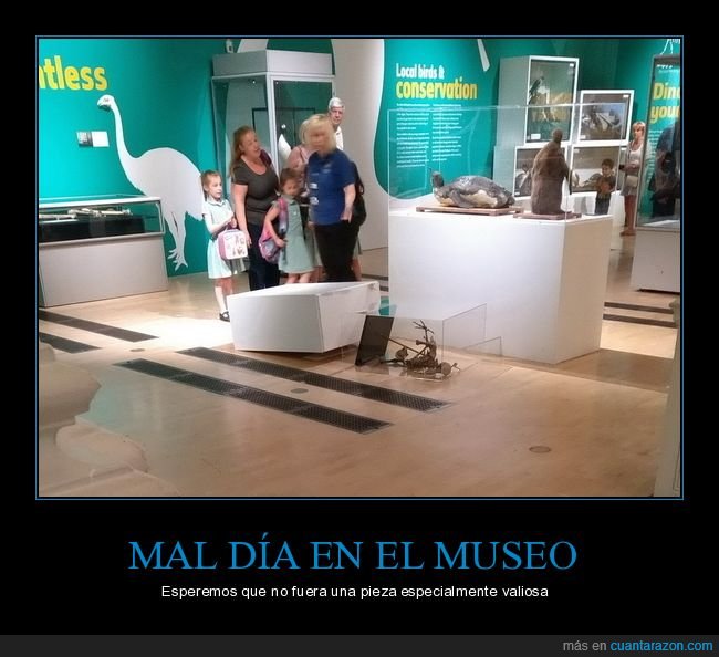 museo,fails