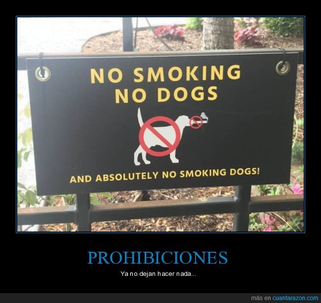 cartel,prohibición,perro,perros,fumar,wtf