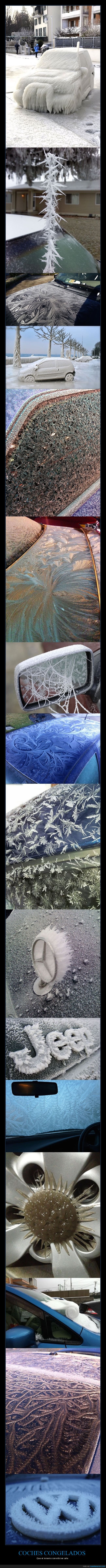 coches,congelados,invierno,frío,arte