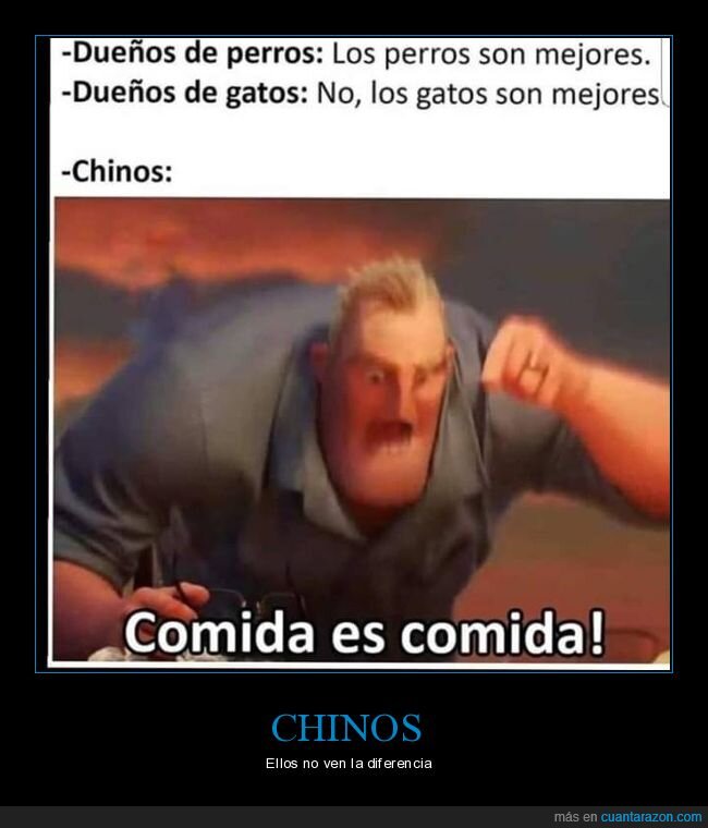 perros,gatos,mejores,chinos,comida