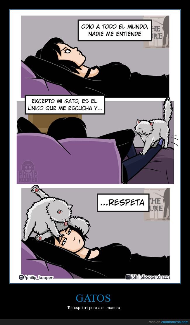 gato,escuchar,respetar