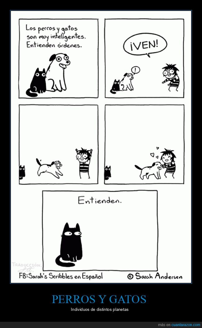 perros,gatos,entender,órdenes