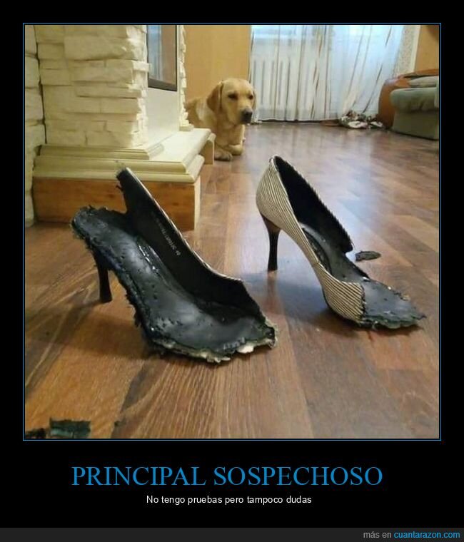 No Tengo Pruebas Pero Tampoco Dudas