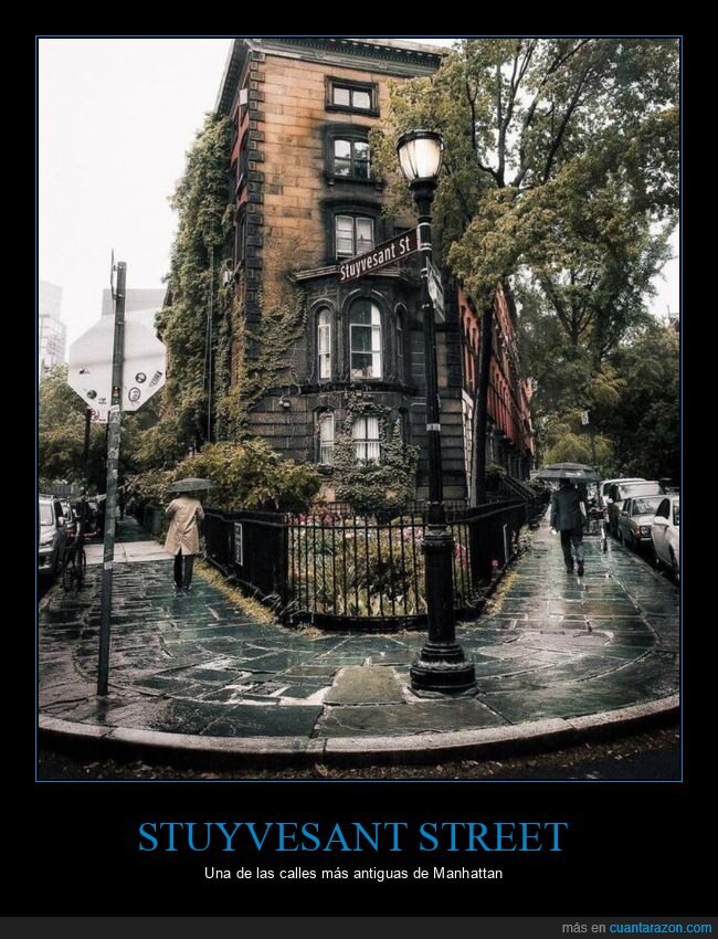 stuyvestant street,calle,nyc,nueva york