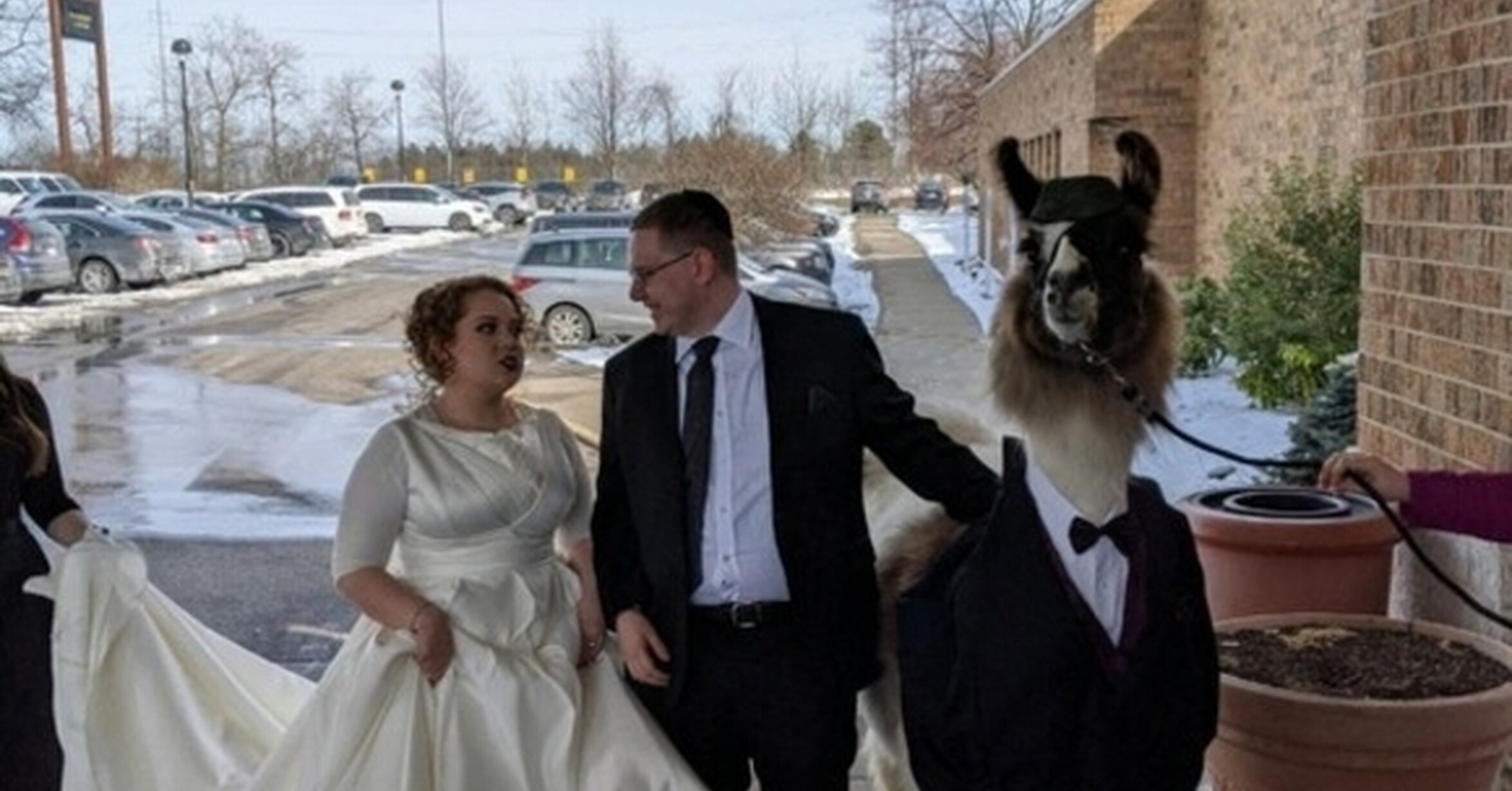 ¡Cuánta razón! / La llama del amor