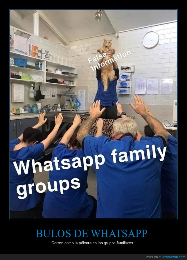 bulos,whatsapp,grupos de whatsapp