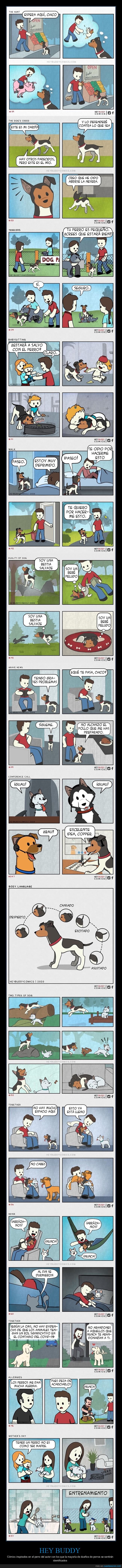 hey buddy,cómics,perros
