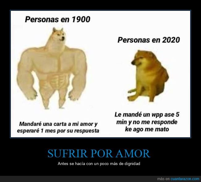 1900,2020,antes,ahora,carta,amor,esperar,respuesta,responder,whatsapp,doge y cheems