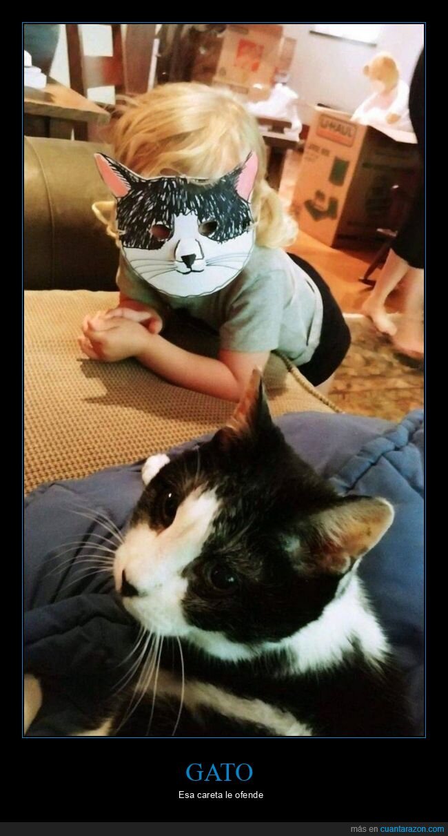 gato,careta,niño