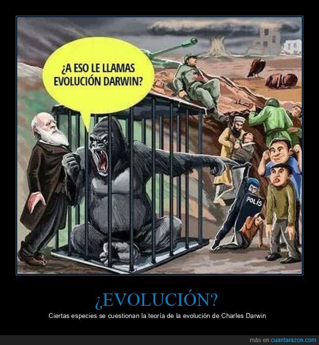 evolución,darwin