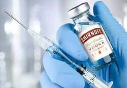 Enlace a La vacuna rusa ya casi está lista