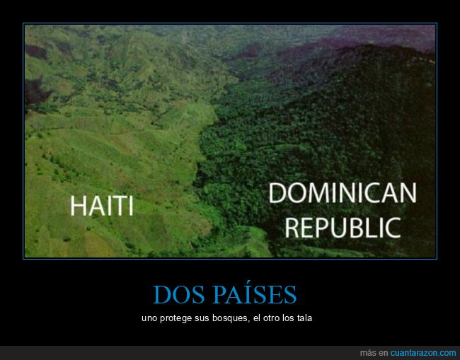 haití,república dominicana,bosques. árboles