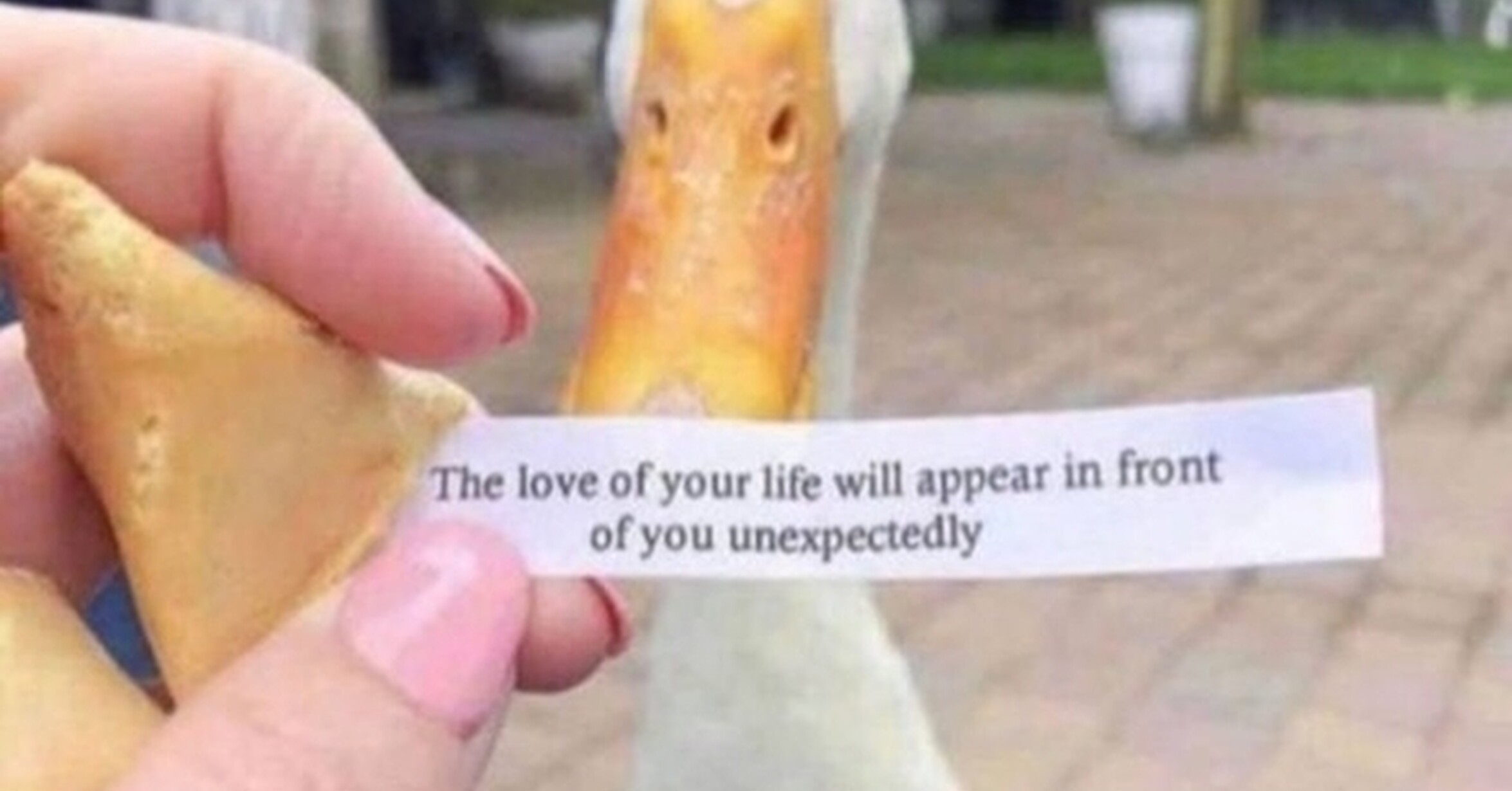 Репост мем. Will appear. Will appear. Мем shrek is life. A box will appear.