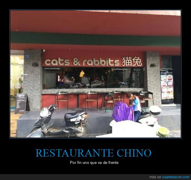 conejos,gatos,restaurante chino
