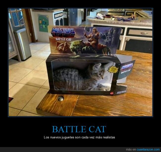 battle cat,caja,gato,he-man