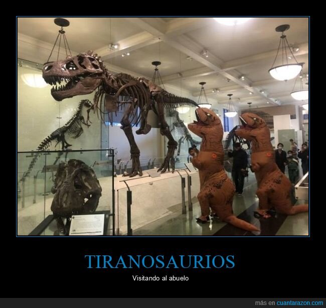tiranosaurios,disfraces,museo