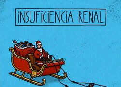 Enlace a INSUFICIENCIA RENAL