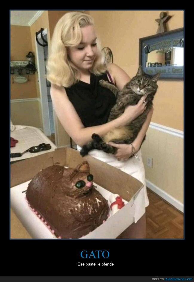 gato,pastel