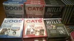 Enlace a Escoge el que más te guste