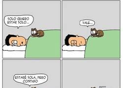 Enlace a Este artista resume su vida con un gato en sus cómics