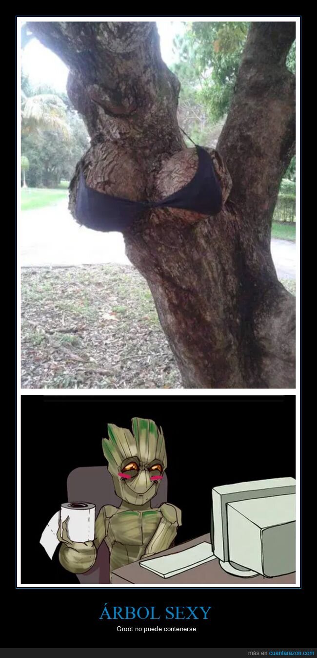 árbol,groot,sujetador