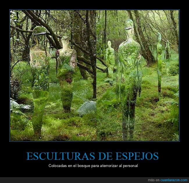 esculturas,espejos,bosque