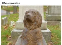 Enlace a La gente está dejando palos a un perro que murió hace 100 años