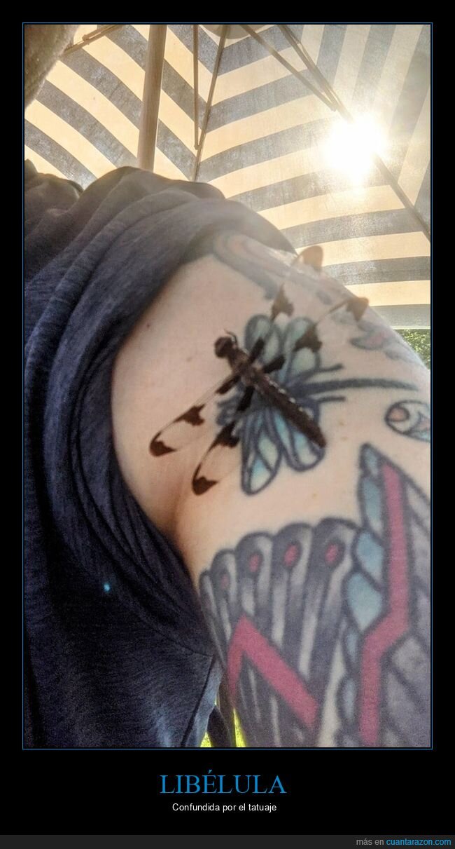 libélula,tatuaje