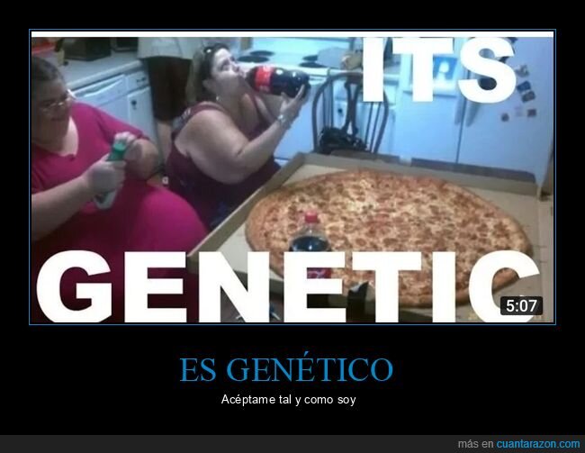 genética,gigante,gordas,pizza