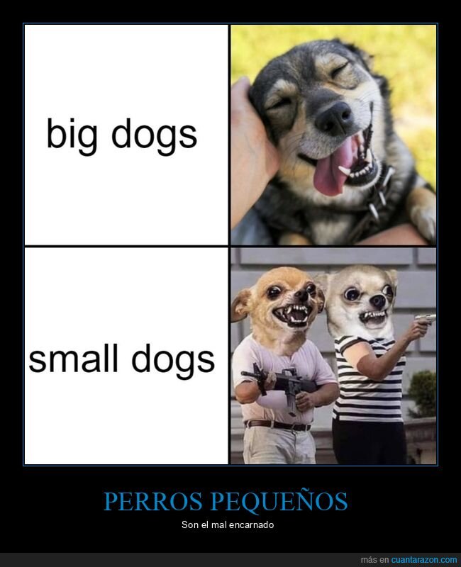 grandes,pequeños,perros