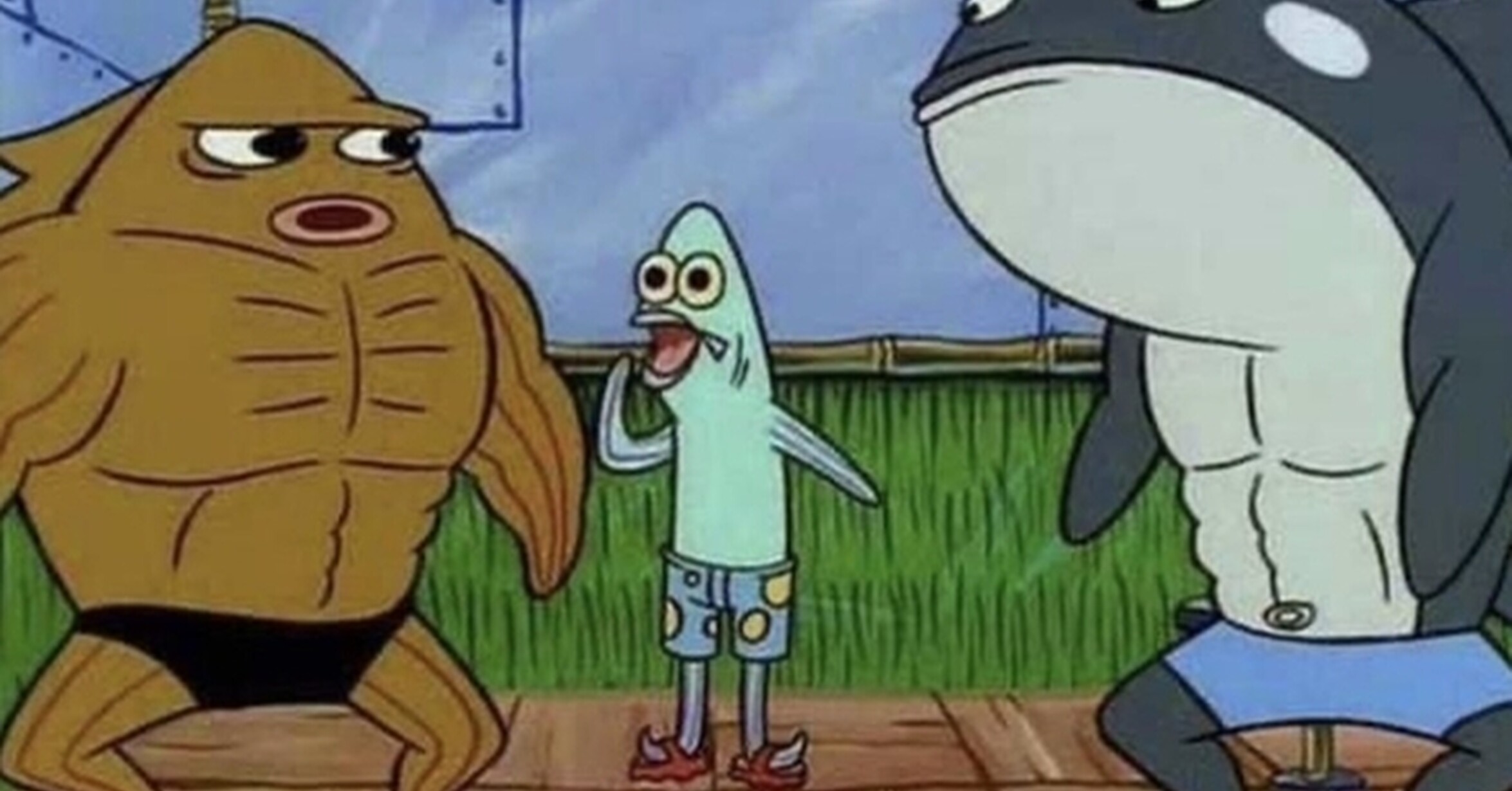 ¡Cuánta razón! / Mírate el ridículo que estás haciendo